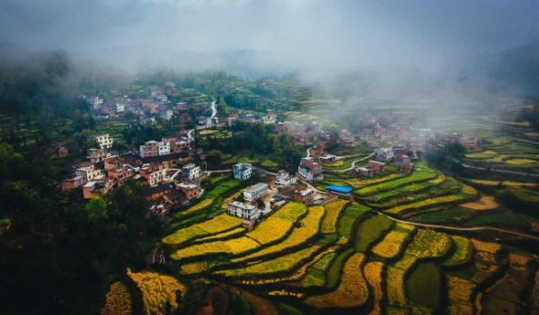 ǭL(fng)@w(yn) Lկp