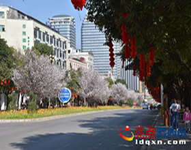 dxʚt~ʢ_ 紺r`ŴⰻȻ