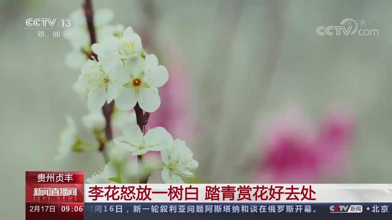 ⰻȻҕP(gun)עؑSŭһ ̤pȥ̎