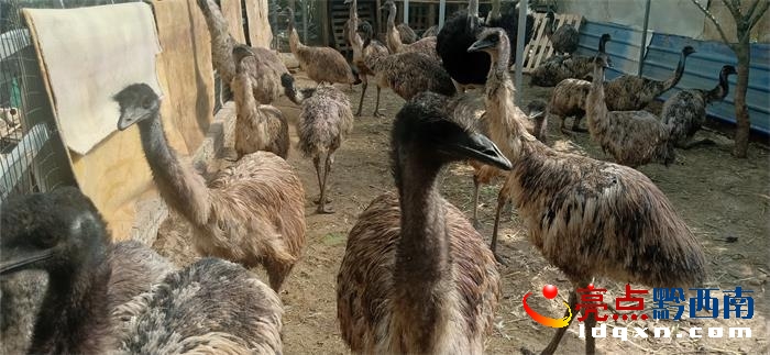 dxОɳ(zhn)ţӴɏB(yng)ֳrB(nio)400ֻ