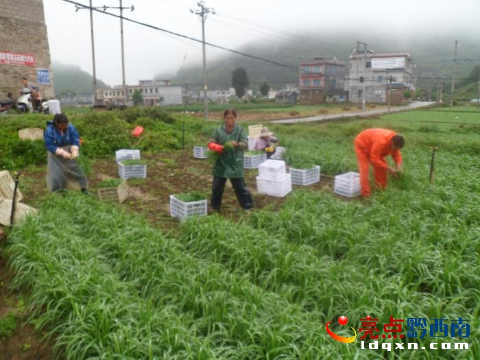 x^(q)P塰ӆΡNֲ280Rϲ@S