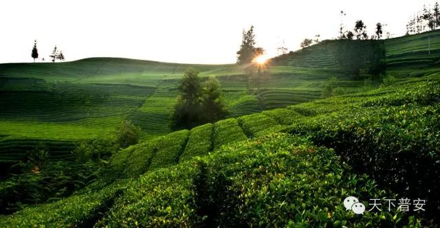 ҕP(gun)עհժ(dng)r(sh) Gɫa(chn)I(y)ጷL(zhng)Чt