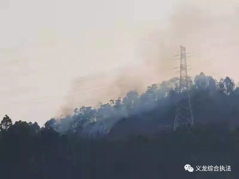 ¶ٟx^(q)һP2000Ԫ