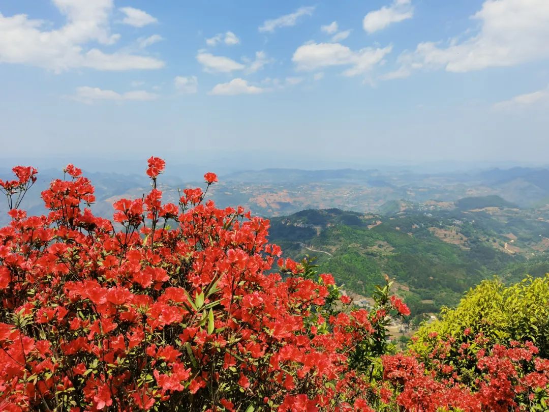 太美了! 到興義七舍來一場山花與云海的邂逅