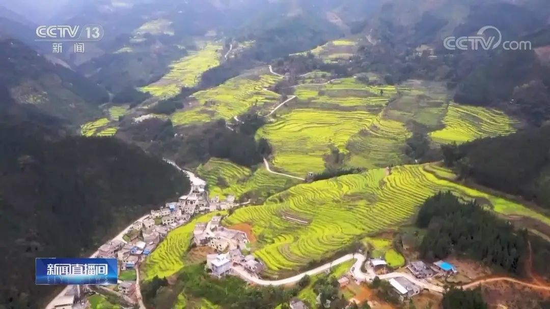 ҕPעF݃ԺǧͲ˻_