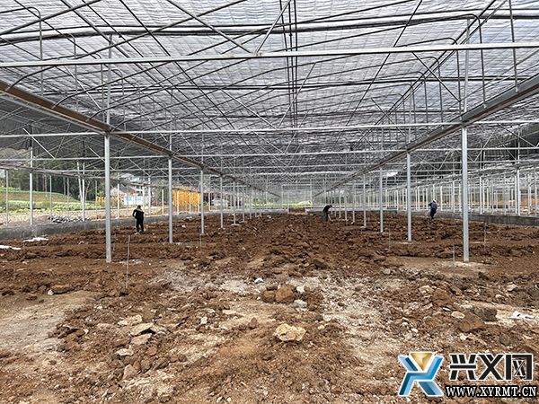 ץô ædxˮأһڣO(sh)(xing)Ŀ깤