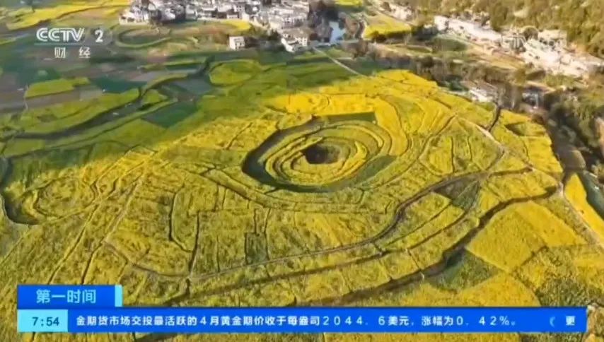 ҕP(gun)עFdxfͲ˻Mʢ