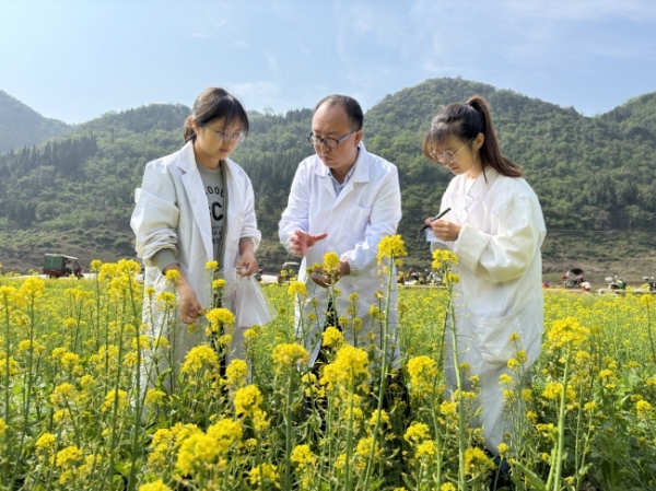 ߲˲ʿY(ji)ǭݲĮa(chn)I(y)