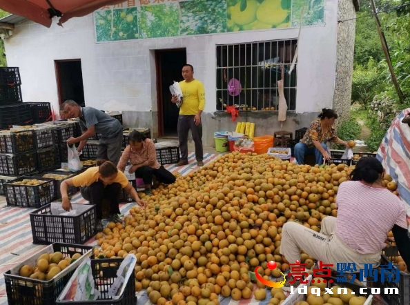 x^(q)f(wn)(zhn)S壺 AS r(nng)