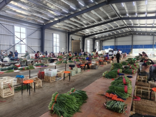 ǭ֮Դ²˷֒ģļԁƽÿ֒15