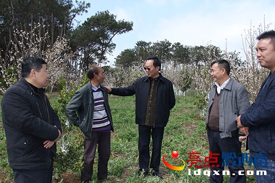 州人大副主任張成剛深入貧困戶(hù)種植櫻桃基地調(diào)研.jpg