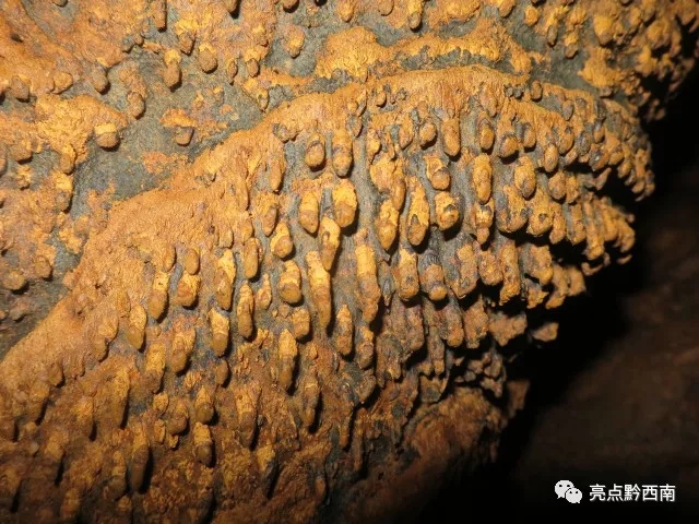 dxʯԲһȻܶΑB(ti) B(yng)