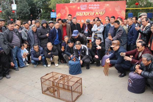 dx_չӭ´ [ԪüB򶷱ِ 